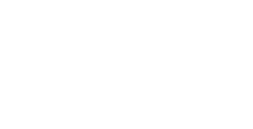 Logo Imnp Invest blanc